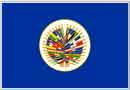 OAS Flag