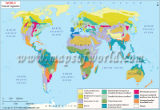 World Natural Vegetation Map